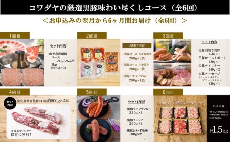 【定期便】黒豚のプロフェッショナル「コワダヤ」の厳選黒豚味わい尽くしコース（全6回） しゃぶしゃぶ 生姜焼き 焼き豚 焼豚 ウインナー ソーセージ ロース 切落し 切り落とし 鹿児島県産 冷凍 南さつ