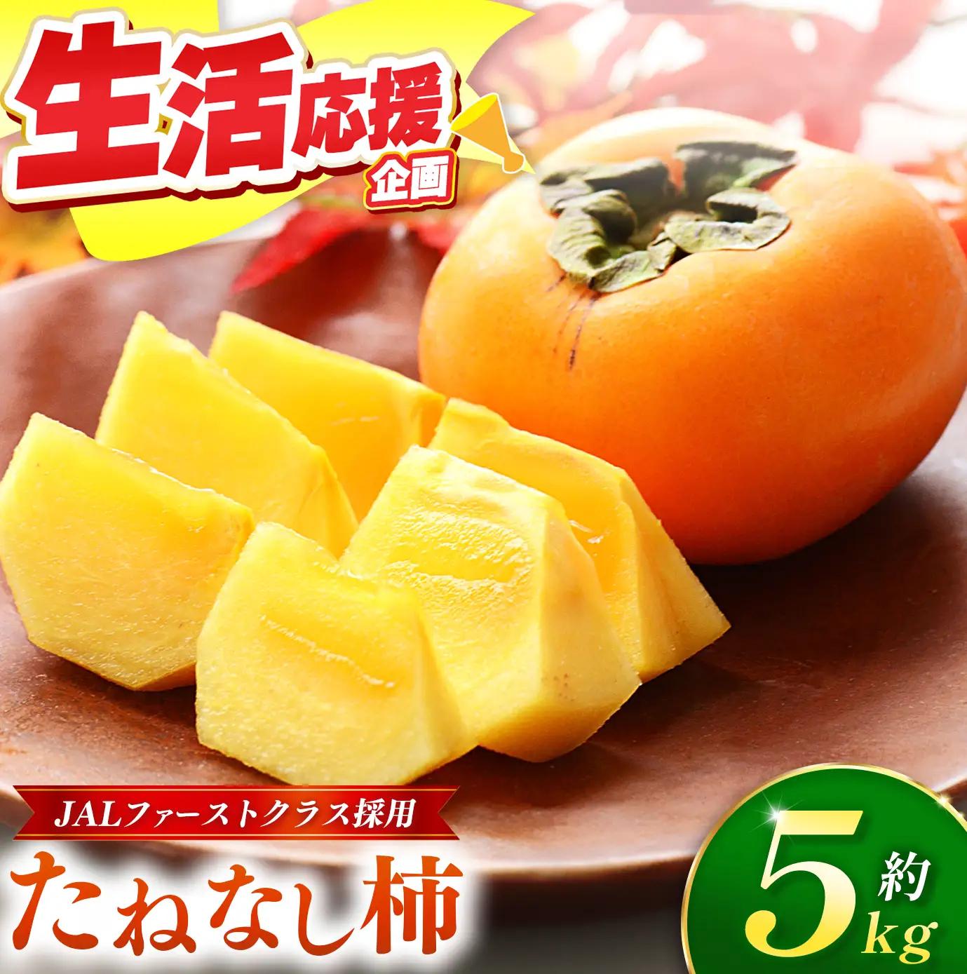  【 先行予約 】 大人気！ リピーター多数！ たねなし柿 約 5kg 箱 （18～24個入） | 西岡農園
