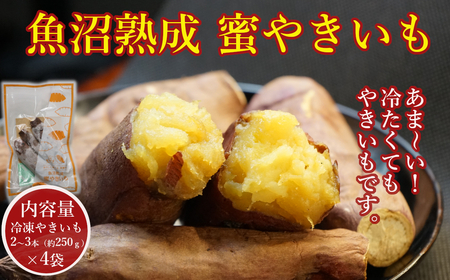 N10P155 魚沼熟成 蜜やきいも4袋セット 冷凍 やきいも 焼き芋 熟成 紅はるか ベニハルカ 農園ビギン