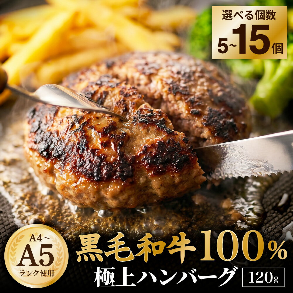 【ふるさと納税】★高評価!!【A4～A5ランクの黒毛和牛100%】ハンバーグ 計600g（5個） / 計1.2kg（10個） / 計1.8kg（15個）＜選べる内容量＞ 1個あたり120g 黒毛和牛 牛肉 牛 100% お肉 赤身 食べきりサイズ 個包装 お弁当 ギフト 贈答 国産 冷凍 コスパ 阪南市 送料無料