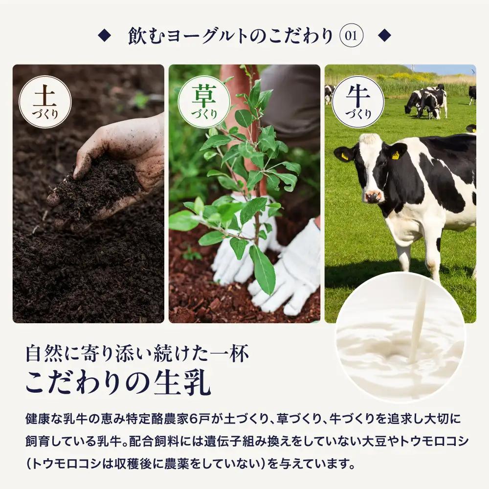 【定期便5回】下郷農協の飲むヨーグルトS-1 | 飲むヨーグルト ヨーグルト 乳酸菌 牛乳 生乳 乳製品 乳飲料 飲料 腸活 発酵食品 健康食品  定期 定期便 大分県 中津市