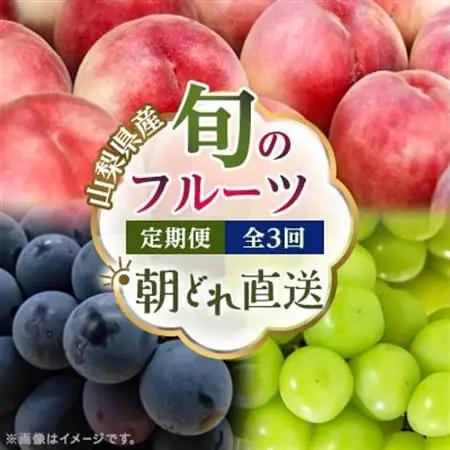【発送月固定定期便】フルーツ定期便 桃2kg 巨峰1kg シャイン1kg全3回【配送不可地域：離島・沖縄県】【4077987】