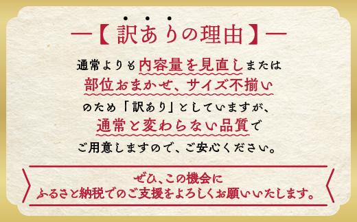 訳あり 京都産黒毛和牛(A4,A5) サーロインステーキ 200g×2枚【計400g】 京の肉 ひら山 厳選｜生活応援 和牛 牛肉 亀岡牛 京都肉 国産 京都 丹波産 ふるさと納税 ステーキ ふるさと