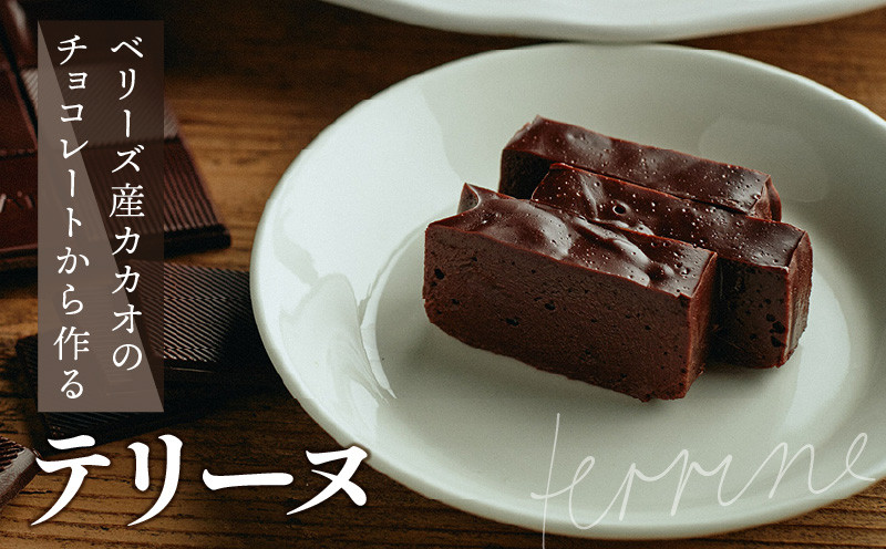 
M71-0001_the TERRINE　ベリーズ産カカオのチョコレートから作るテリーヌ
