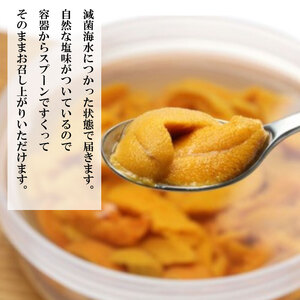 【期間限定】 水揚げ24時間以内発送 綾里の生うに 150g 数量限定 冷蔵 ミョウバン不使用 岩手県産 ムラサキウニ [ 季節限定 生うに 生雲丹 天然 海鮮丼 寿司 ウニ丼 刺身