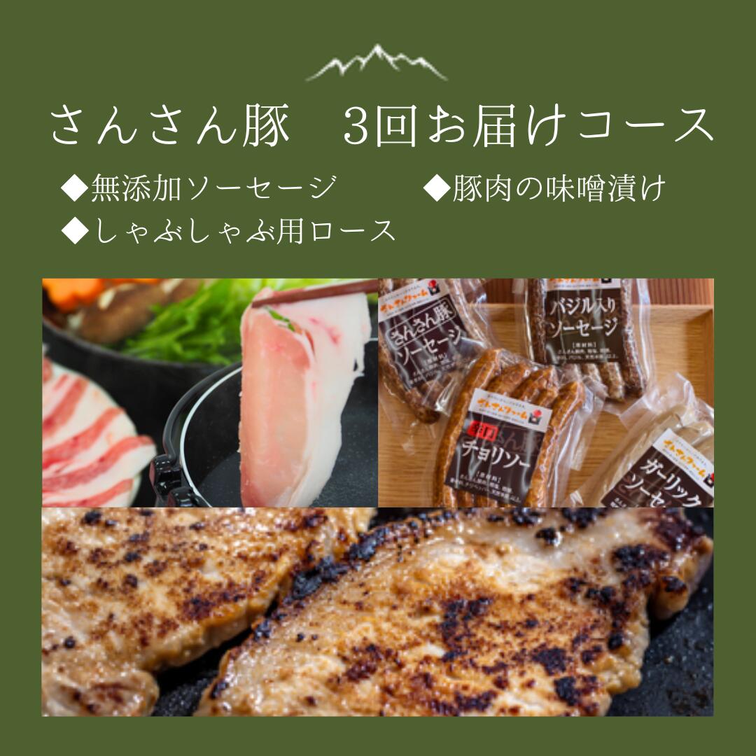 【ふるさと納税】さんさん豚3回お届けコース //（翌月より3ヶ月） 長野県産豚肉 南信州 ポーク ステーキ バークシャー種 薄切り 味噌漬け 安全 安心 定期便 毎月届く 贈答 ギフト SF06