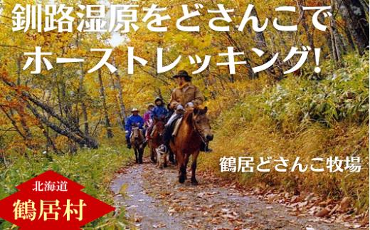 【北海道鶴居村】どさんこ牧場ホーストレッキング1日コース 昼食付(1名様)  乗馬体験 大自然 釧路湿原 散歩