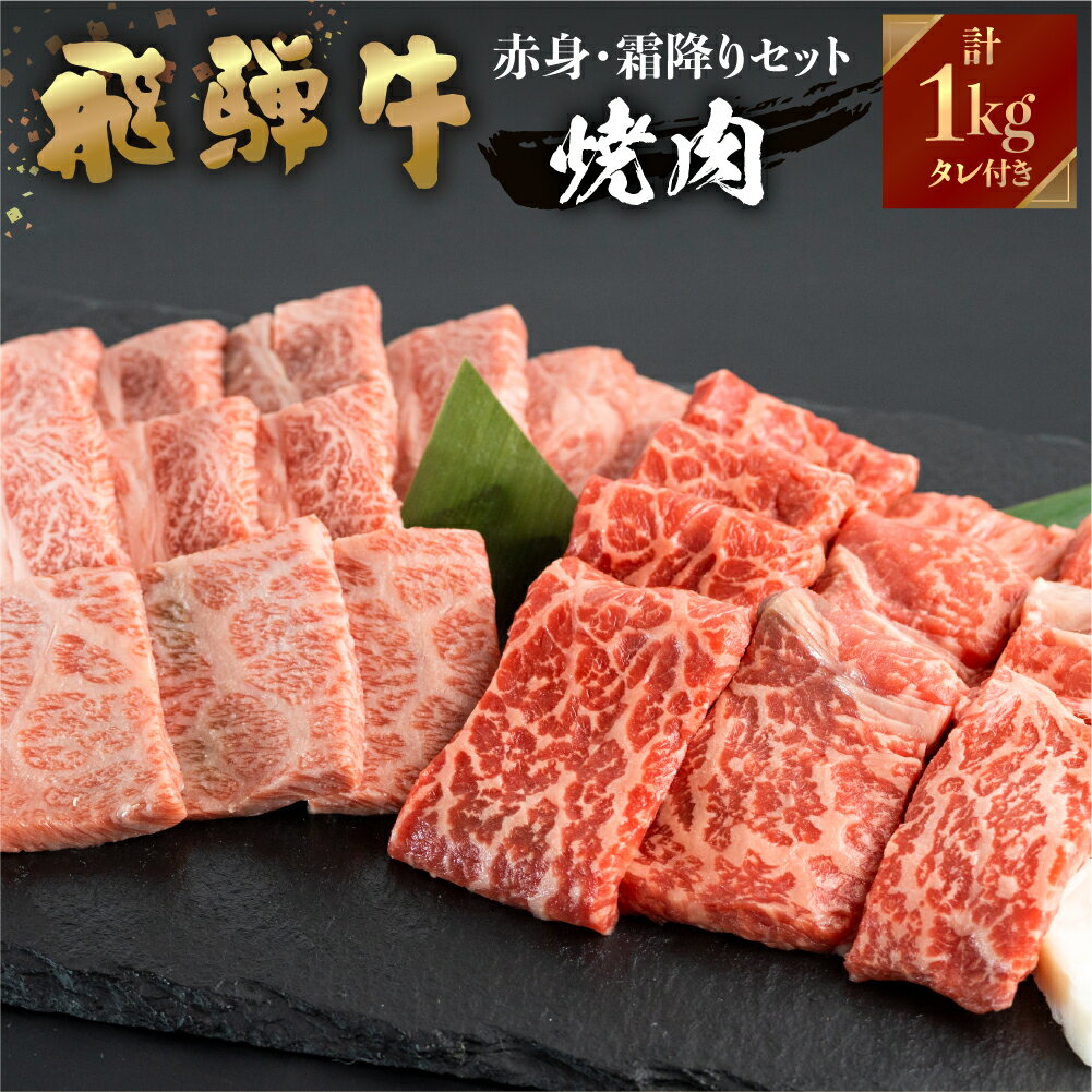 【ふるさと納税】飛騨牛 牛肉 焼肉 赤身 霜降り 食べ比べ 1kg ( 500g×2種) A4等級以上バーベキュー BBQ のし対応 お祝い ギフトに 飛騨 牛 国産 和牛 黒毛 贈答 ご褒美 誕生日 記念日 ご当地 取り寄せ 40000円 [S452]