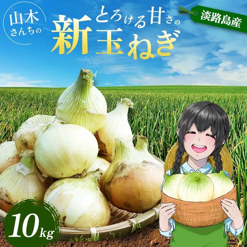 新玉ねぎ 淡路島産 10kg 山木さんち 甘い 新玉ねぎ
