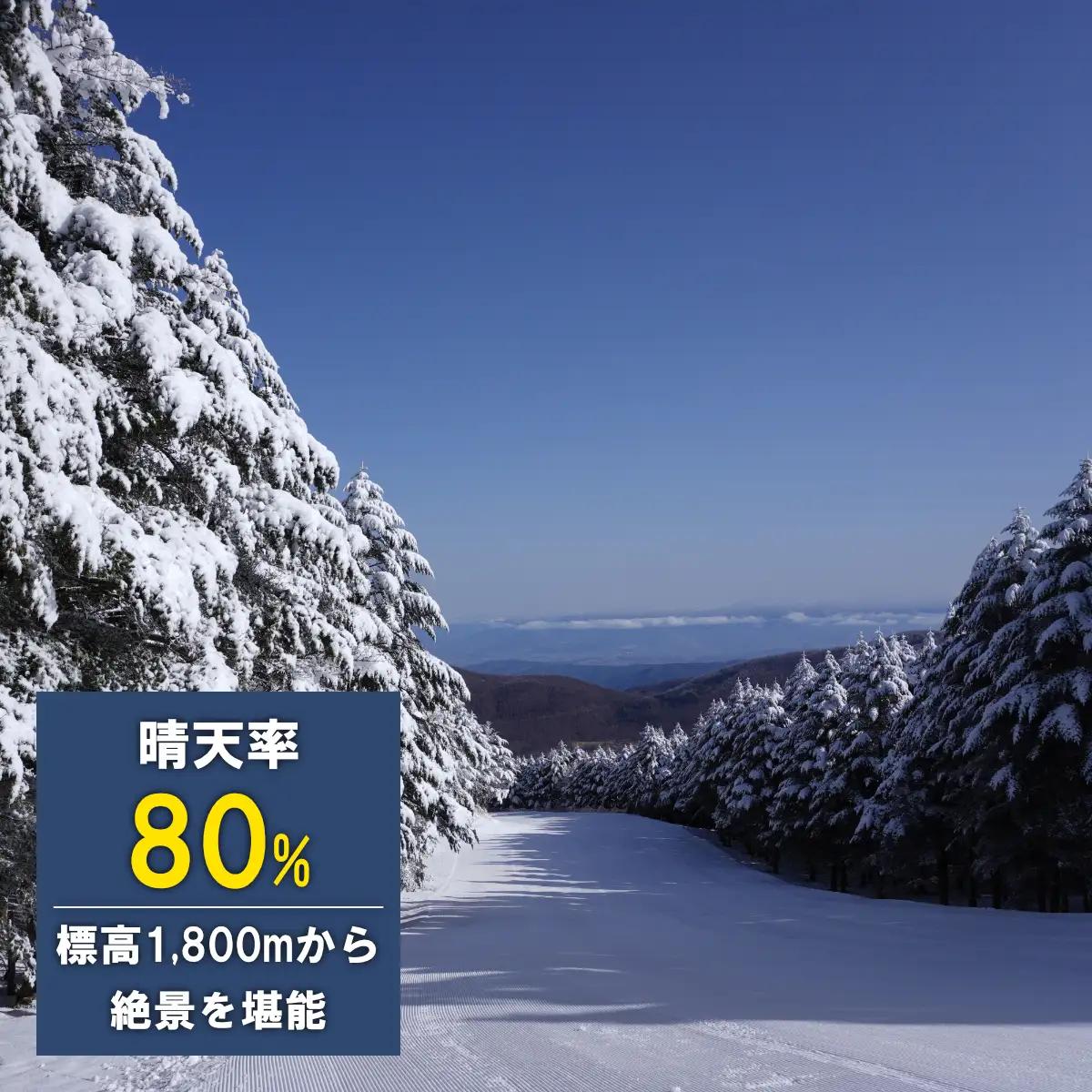 【2026-2027】ブランシュたかやまスキーリゾート 大人リフトシーズン全日券 スキー場 雪山 ウインタースポーツ 安心 安全 ファミリー 遊べる 雪遊び わんぱ～く