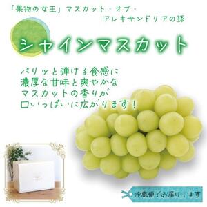 【2026年先行受付】岡山　花笑み農園の『シャインマスカット』700g以上(大1房)S-大1【配送不可地域：離島】【1695384】