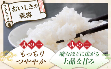 【令和7年産新米】コシヒカリ・きぬむすめ白米食べ比べセット [AQDH007] こしひかり 白米 食べ比べ セット