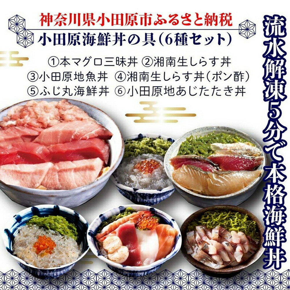 【ふるさと納税】小田原地魚＆本まぐろ海鮮丼の具（6種セット） | 海鮮 神奈川県 小田原市