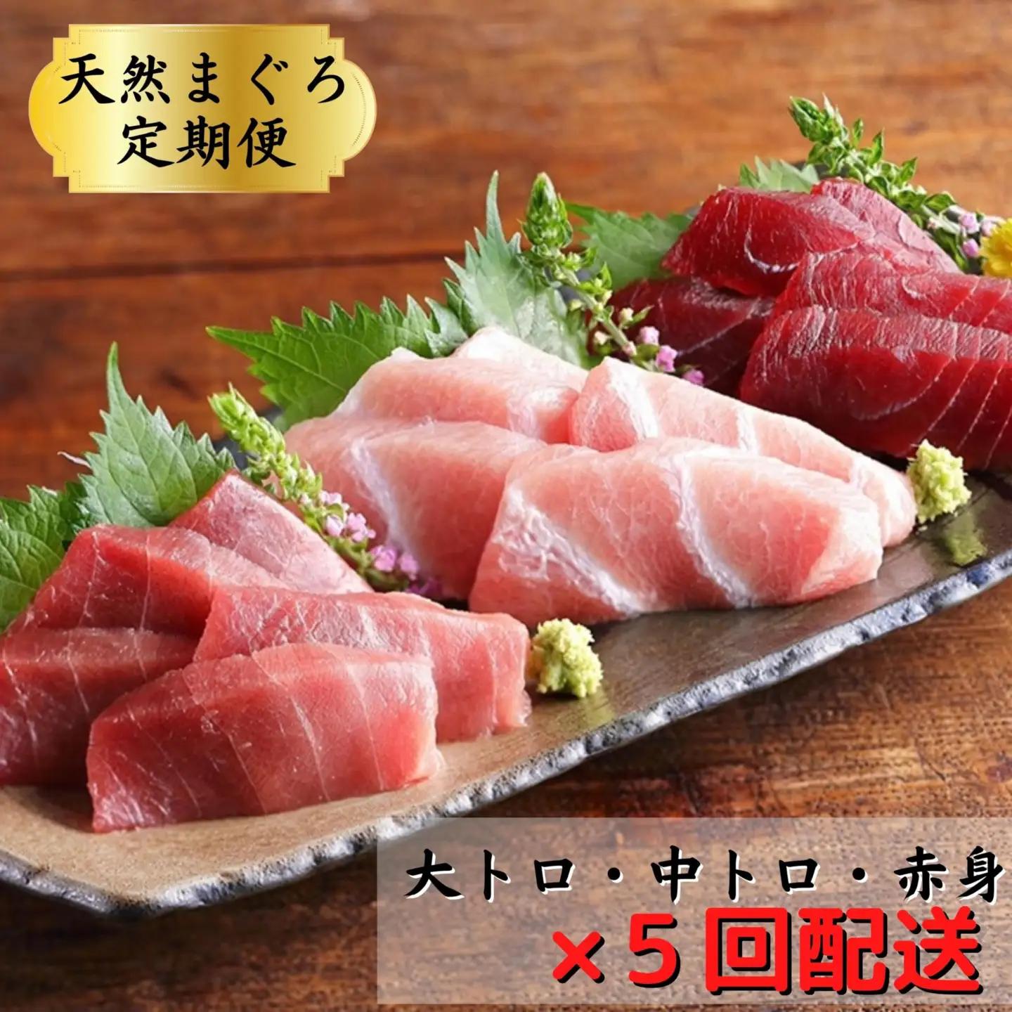 （全5回配送）天然！三崎まぐろ大トロ・中トロ・赤身 お刺身定期便 M005-T02 冷凍 マグロ 定期便