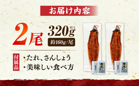 国産 うなぎの蒲焼大2尾 160g以上×2尾 320g [VAD002]