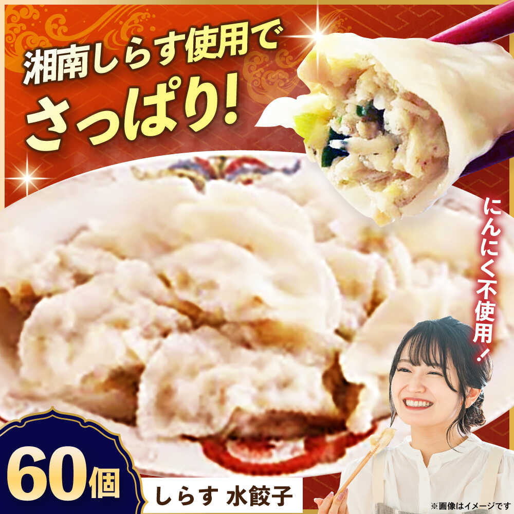 【ふるさと納税】【テレビで紹介されました！】冷凍 しらす 水餃子 60個 ジューシー モチモチ 自家製 餃子 ぎょうざ 湘南 シラス ブランド【横須賀商工会議所 おもてなしギフト事務局（上海亭）】お取り寄せ おかず つまみ ビール 簡単 本格 肉厚 肉汁 ギョーザ [AKED007]