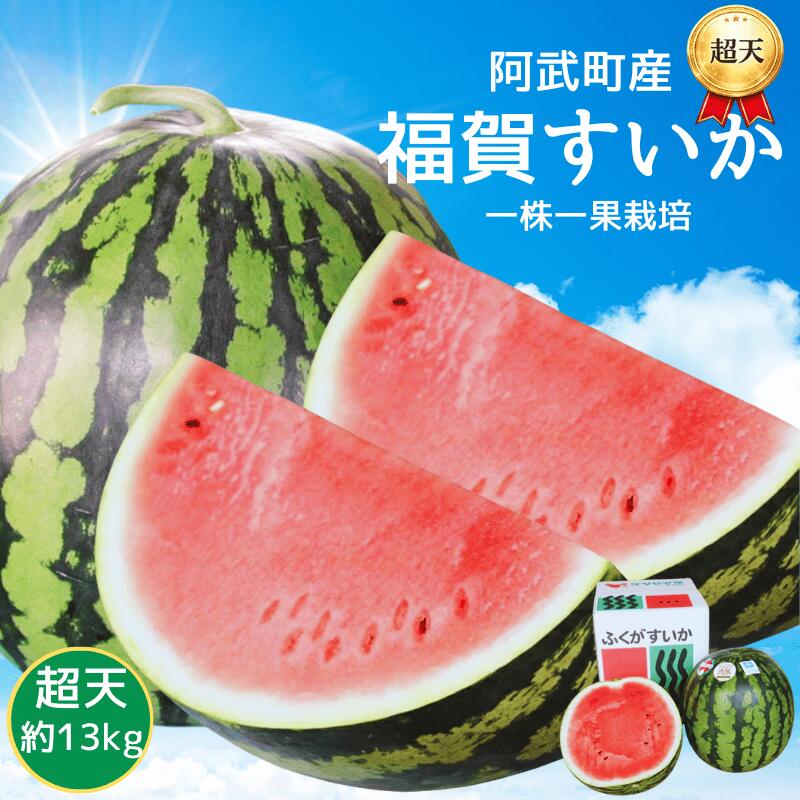 【ふるさと納税】【先行予約】福賀 すいか 超天 13kg 圧巻の超大玉＆シャリシャリ食感 高糖度 山口県 阿武町産 1個（希少1株1玉栽培） 産地直送 【2027年7月上旬～8月中旬順次発送】