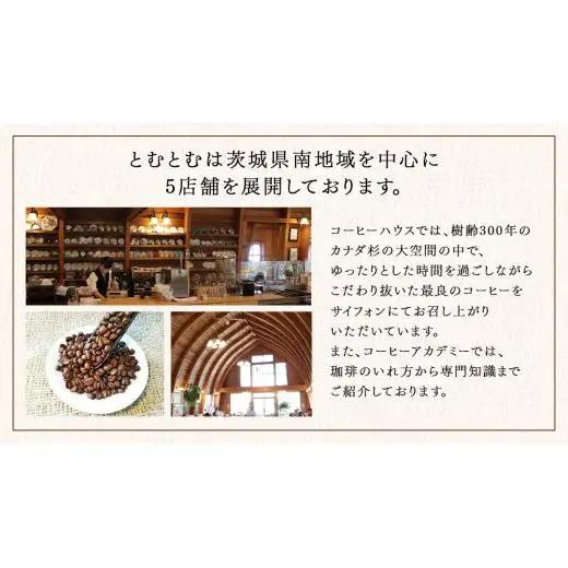 とむとむ 自家焙煎 レギュラーコーヒー 2缶 セット ( 各200g )