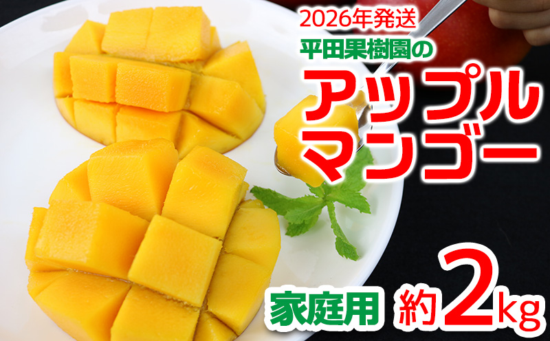 【2026年発送】平田果樹園のアップルマンゴー家庭用（約2kg） アーウィン 果物 甘い 夏 濃厚 ギフト Mango ランキング 完熟 お気に入り 美味しい 人気 おすすめ フルーツ 沖縄県 先行予約 食品 人気 産地直送 送料無料
