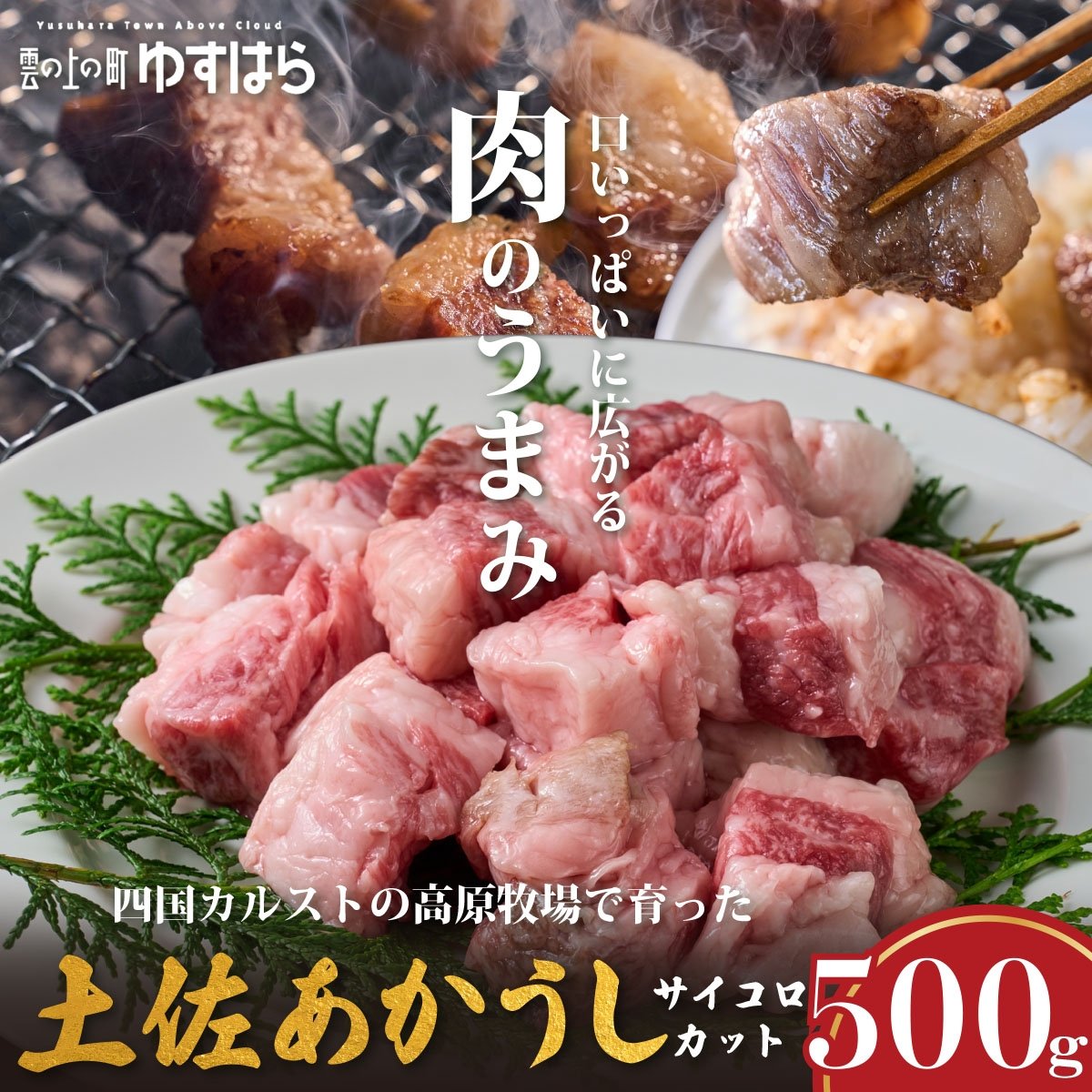 
            低温でも脂身がとろける土佐あかうしサイコロカット 500g　牛肉 和牛 国産 BBQ オレイン酸 高知県産
          