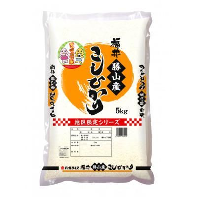 ふるさと納税 勝山市 勝山産コシヒカリ　ちゃまごん米　5kg　精米 |  | 02