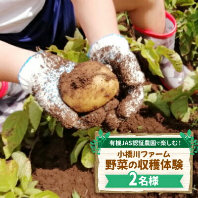 【ふるさと納税】有機JAS認証農園で楽しむ!小橋川ファーム野菜の収穫体験2名様【1666295】