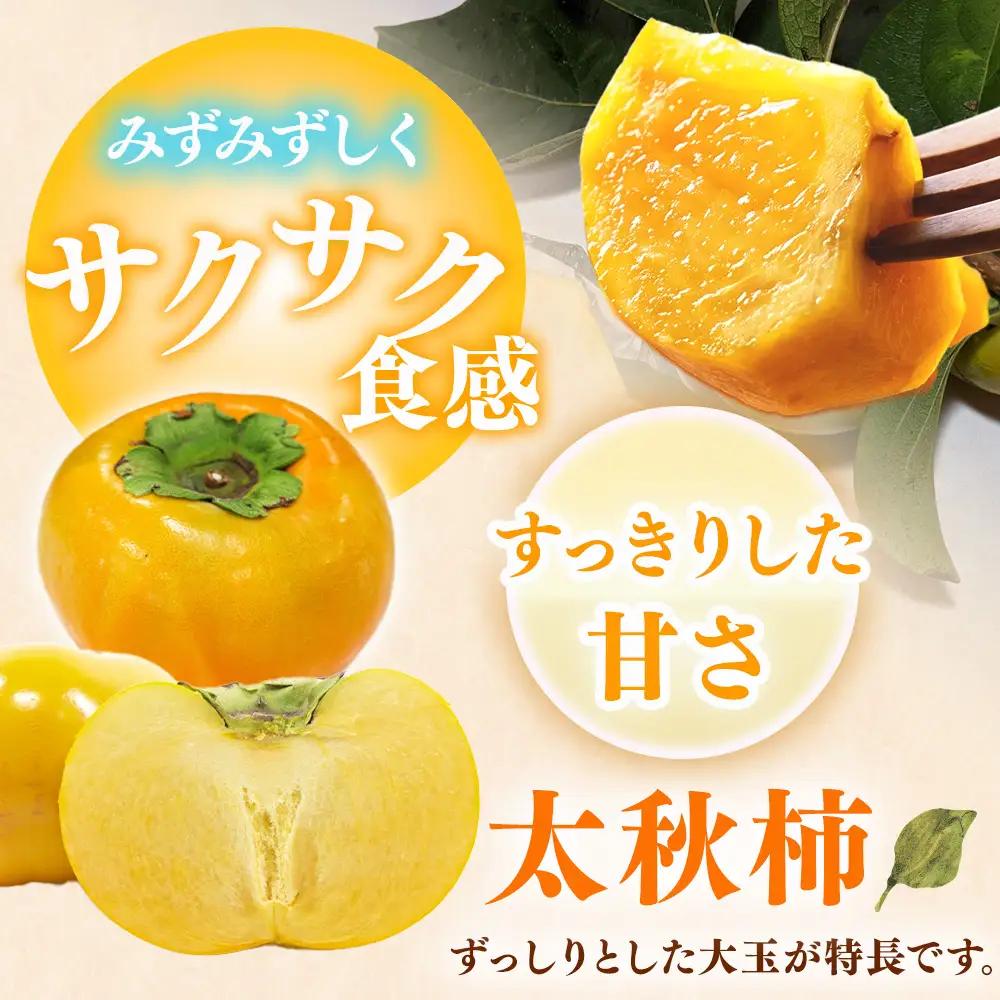 【先行予約】こだわり栽培ポット柿（太秋柿） 3Lサイズ9個入り ※離島への配送不可  ※2026年10月中旬～11月上旬頃に順次発送予定