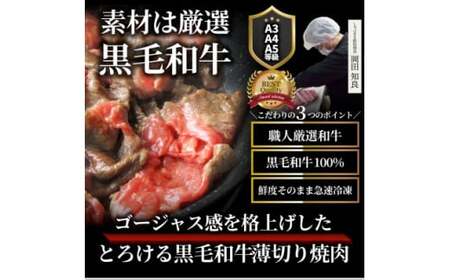 とろける黒毛和牛リッチな薄切り焼肉500g(250g×2P)　秘伝のタレ漬け_mk146-018