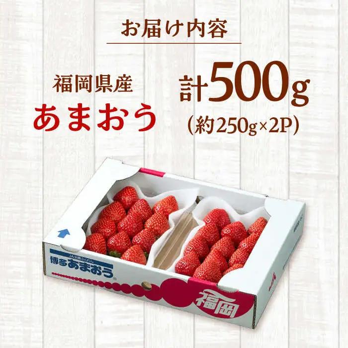 【2026年12月上旬より発送】福岡産【冬】 あまおう 2パック 桂川町/南国フルーツ株式会社 [ADBW011] あまおう 博多 福岡
