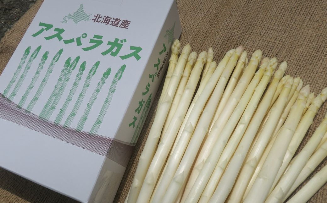 JAそらち南の味覚「ホワイトアスパラガス」S〜L　1kg前後
