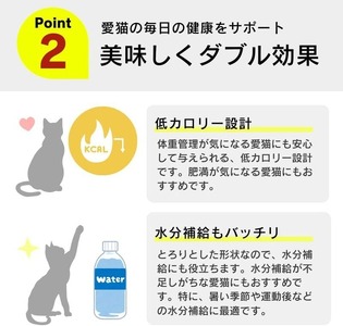 【隔月6回 定期便】とろーりおやつ 猫用（ツナ＆ほたて味）150g×48個 _ 定期便 隔月 全6回 とろーりおやつ 猫用 150g × 48個 × 6回 ツナ＆ほたて味 液状タイプ とろりなめらか食