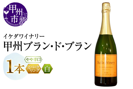 イケダワイナリー 甲州 ブラン・ド・ブラン（MG）A09-481【ワイン イケダワイナリー スパークリングワイン 甲州市 山梨県】
