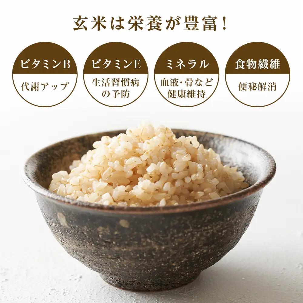   【令和8年産新米予約】ゆめぴりか 玄米 5kg 《杉本農園》