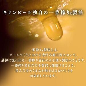 【6ヵ月定期便】キリン 一番搾り 500ml×48本　【定期便・ お酒 アルコール アルコール飲料 晩酌 家飲み 宅飲み 飲み会 集まり バーベキュー BBQ イベント 飲み物 缶ビール 】