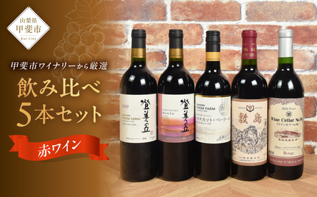 甲斐市産赤ワイン5本セット　家飲み 赤 日本ワイン 山梨ワイン 定番 テーブルワイン お酒 サントリー 甲州 飲み比べ 山梨県 甲斐市 AD-297