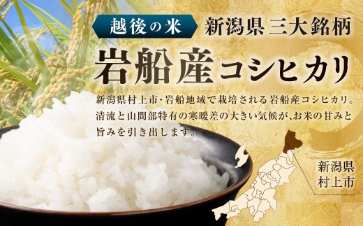 【数量限定・訳あり】【令和7年産米】新潟県村上市岩船産 コシヒカリ5kg　1029019