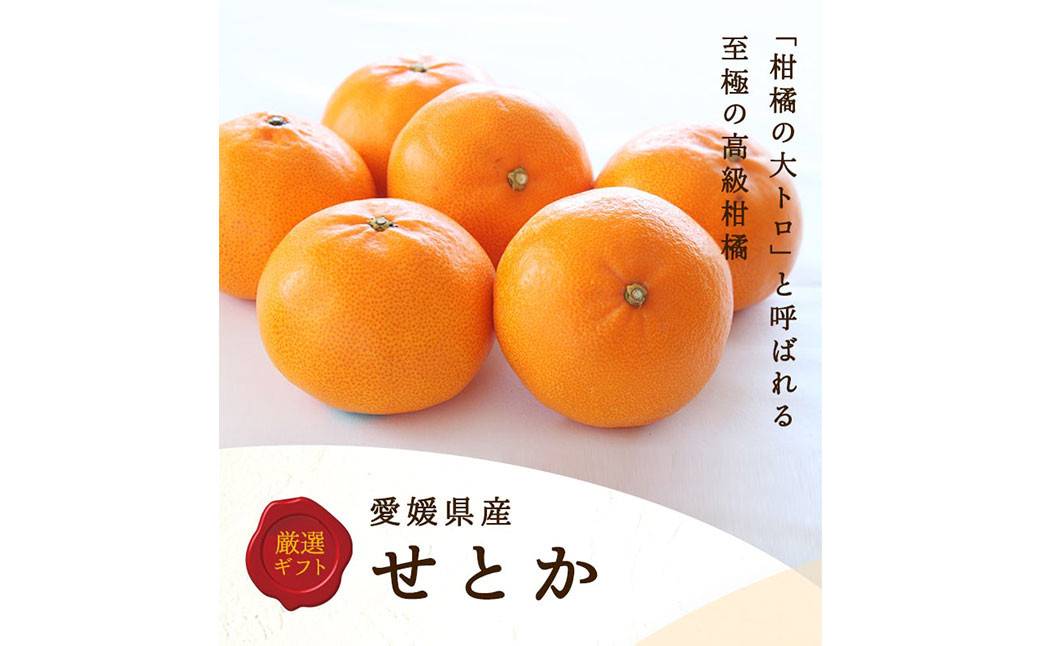 せとか 4L～L 約3kg 化粧箱入り みかん ミカン 蜜柑 果物 くだもの フルーツ 柑橘 【2025年2月下旬－4月下旬発送予定】（820）