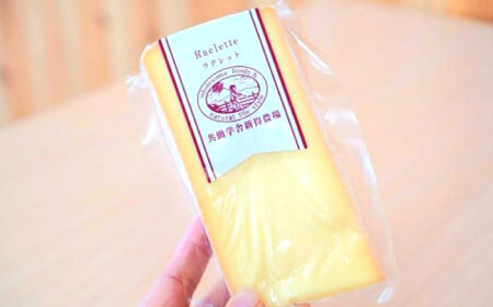 チーズ4種 食べ比べセット チーズ [BNAO004]