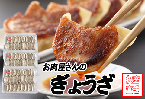 餃子25個×3P B-70041