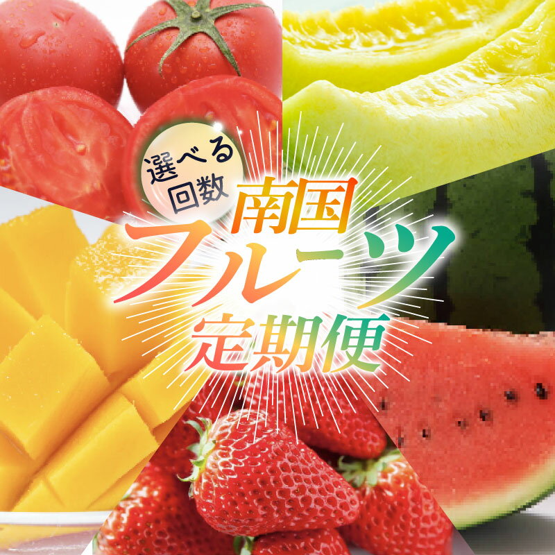 【ふるさと納税】 高評価 ☆4.83 フルーツ 定期便 イチゴ メロン スイカ マンゴー トマト 選べる回数 3回 4回 5回 旬 ふるさと納税フルーツ 苺 果物 くだもの 人気 おすすめ 産地直送 人気定期便 フルーツ定期便 果物定期便 数量限定 西島園芸団地 高知県 南国市