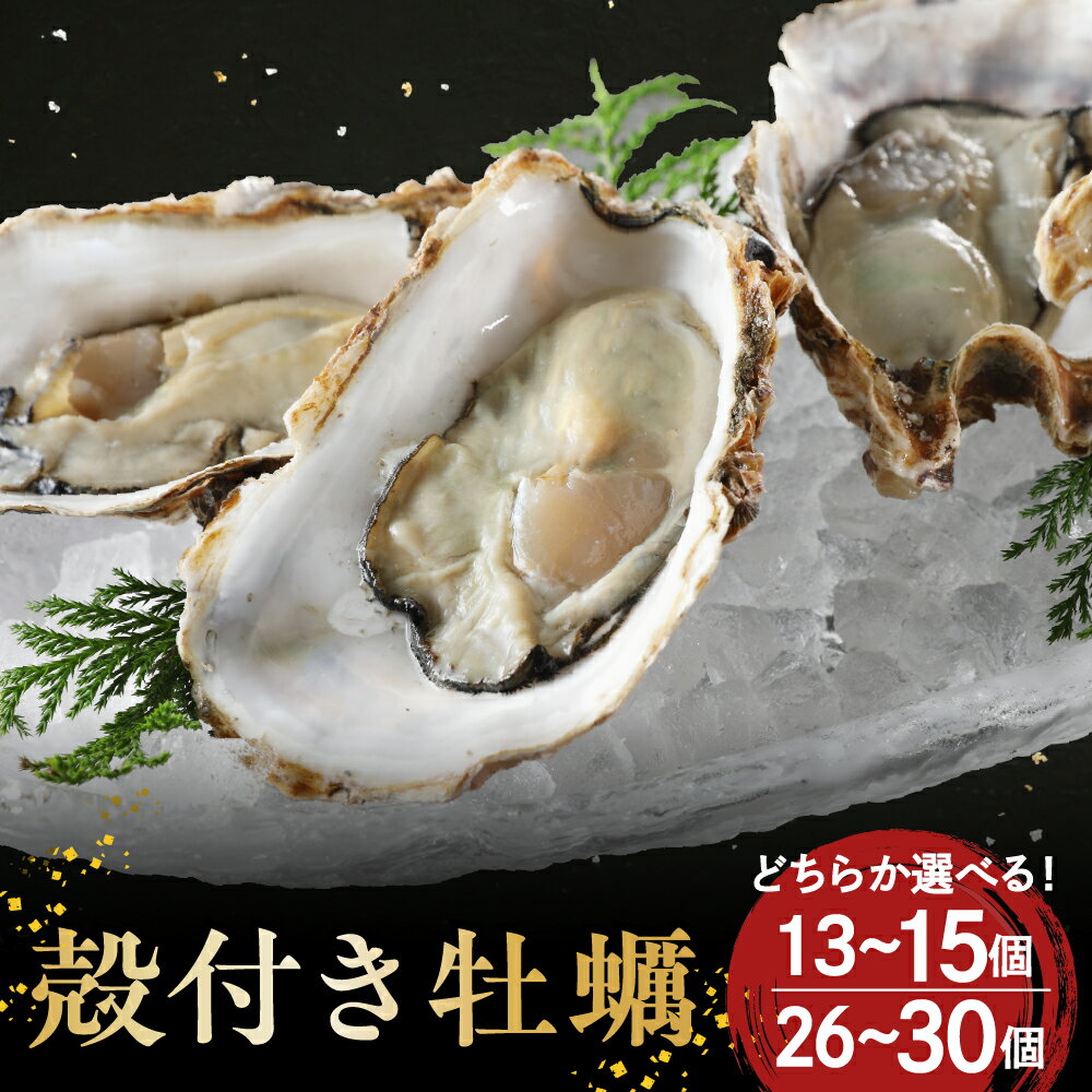 【ふるさと納税】海からそのまま 殻付き 牡蠣 選べる 13個〜15個 / 26個～30個 【 先行予約 】矢野水産 フレッシュギフト 広島県産 冷蔵便 国産 かき 新鮮 海鮮 魚介 美味しい 蒸し焼き バーベキュー 冬 旬 送料無料 広島かき 広島県 呉市 【2026年1月から順次発送】