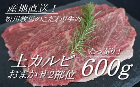 No.139 【数量限定】松川牧場のこだわり牛肉 上カルビ600g（おまかせ2部位）