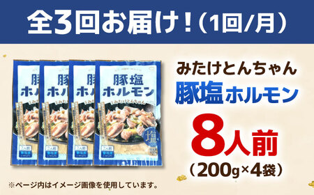 【3回定期便】岐阜県産豚もつの鉄板焼き「元祖みたけとんちゃん」豚塩味（8人前）[AVAA061]豚肉 定期
