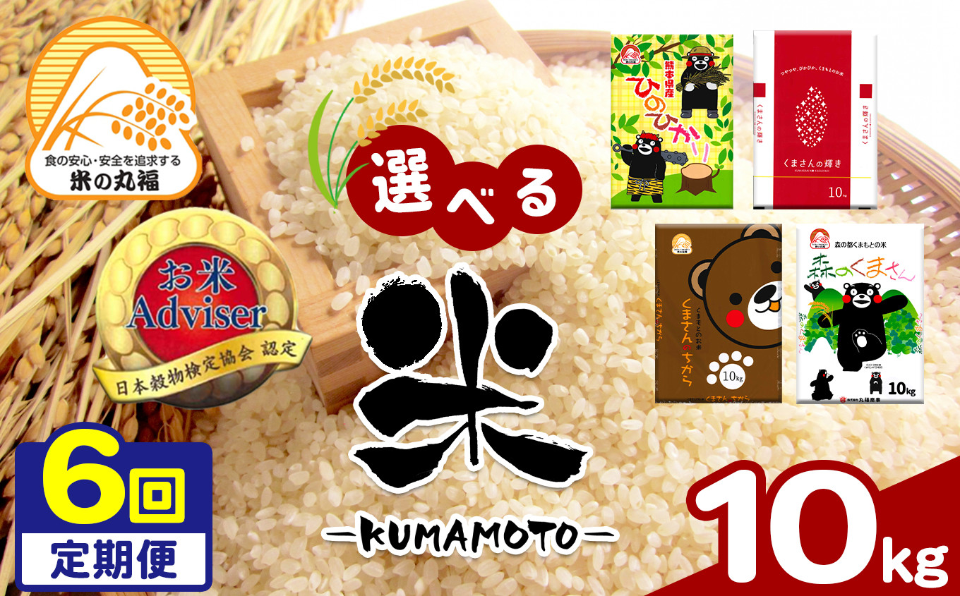 
            【定期便6回】≪選べる品種≫熊本県産米 10kg×6回 | お米 米 おこめ こめ 白米 精米 定期 定期便 熊本県 玉名市
          