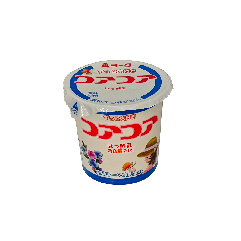 【6ヶ月定期便】愛知ヨーク　コアコアヨーグルト　20個入［108A02-T］