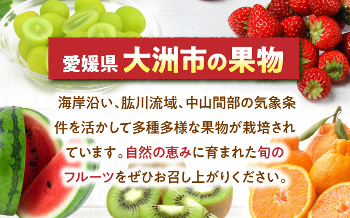 【先行予約】【2026年6月中旬から順次発送】　メロン タカミ 2から3玉 愛媛県大洲市/梶原農園 メロン [AGCX004]