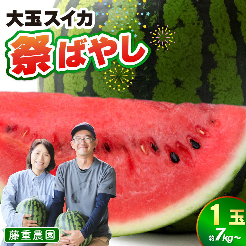 【ふるさと納税】【先行予約】藤重農園の大玉スイカ『祭ばやし』 1玉（7kg～） ≪満足度高い大きなスイカ≫／ 果物 フルーツ 西瓜 すいか ギフト 農家直送 美肌 ビタミン豊富 福井県 あわら市 なんとリコピンはトマトの1.5倍！ ※2027年6月中旬以降順次発送