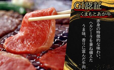 【定期便 全6回】【GI認証】くまもとあか牛焼肉用500g 阿蘇牧場 熊本県 阿蘇市
