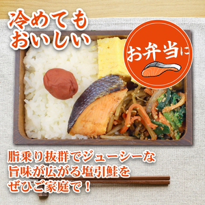 塩引鮭 半身 約900g （11～13切） 塩鮭 鮭 冷凍 シャケ さけ サケ 切り身 切身 寒風干し 塩引き鮭 小分け 焼き魚 高級 国産 美味しい 塩鮭 真空パック 新潟 新発田 suzuki00