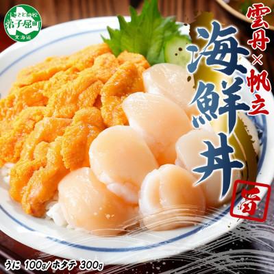 ふるさと納税 弟子屈町 【のし付】ウニ 100g ホタテ 300g 2種 海鮮丼 北海道 弟子屈町 3382